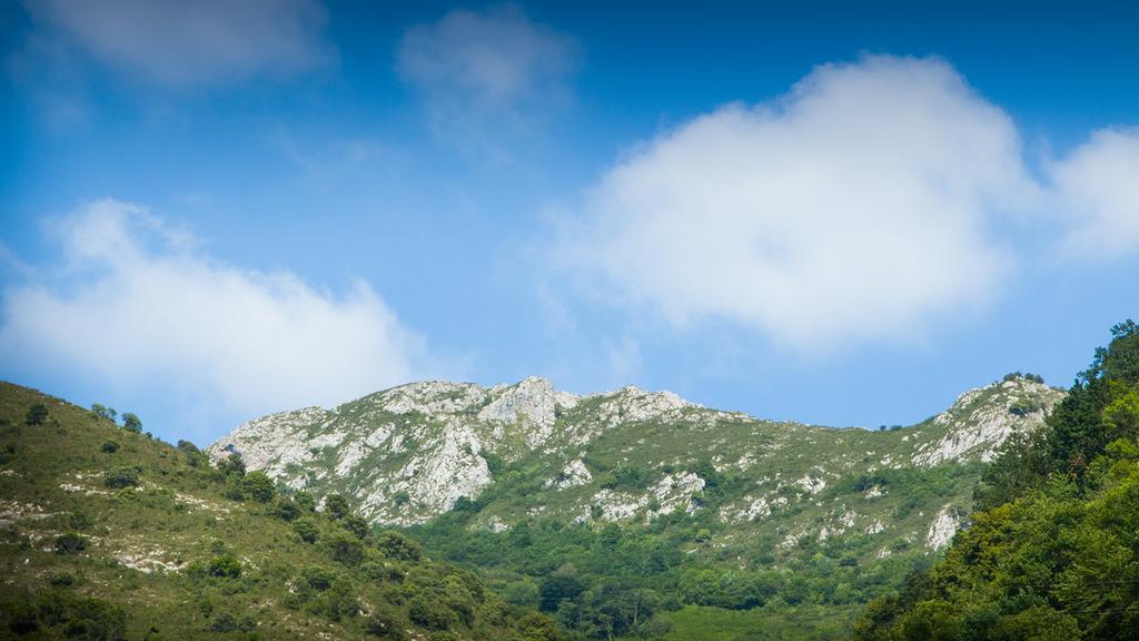Alojamiento Calzada Romana Belmonte De Miranda エクステリア 写真